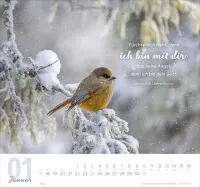 Meine Zeit - Hoffnung und Vertrauen für ein ganzes Jahr - Wandkalender