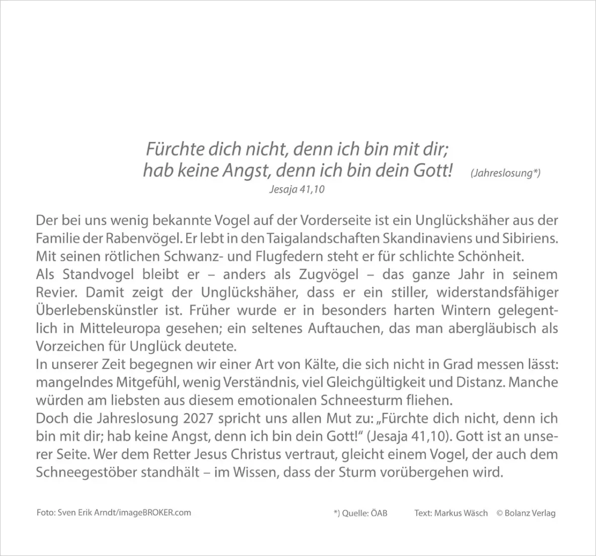Meine Zeit - Hoffnung und Vertrauen für ein ganzes Jahr - Wandkalender