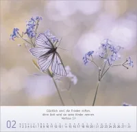 Gesichter der Natur - Wandkalender
