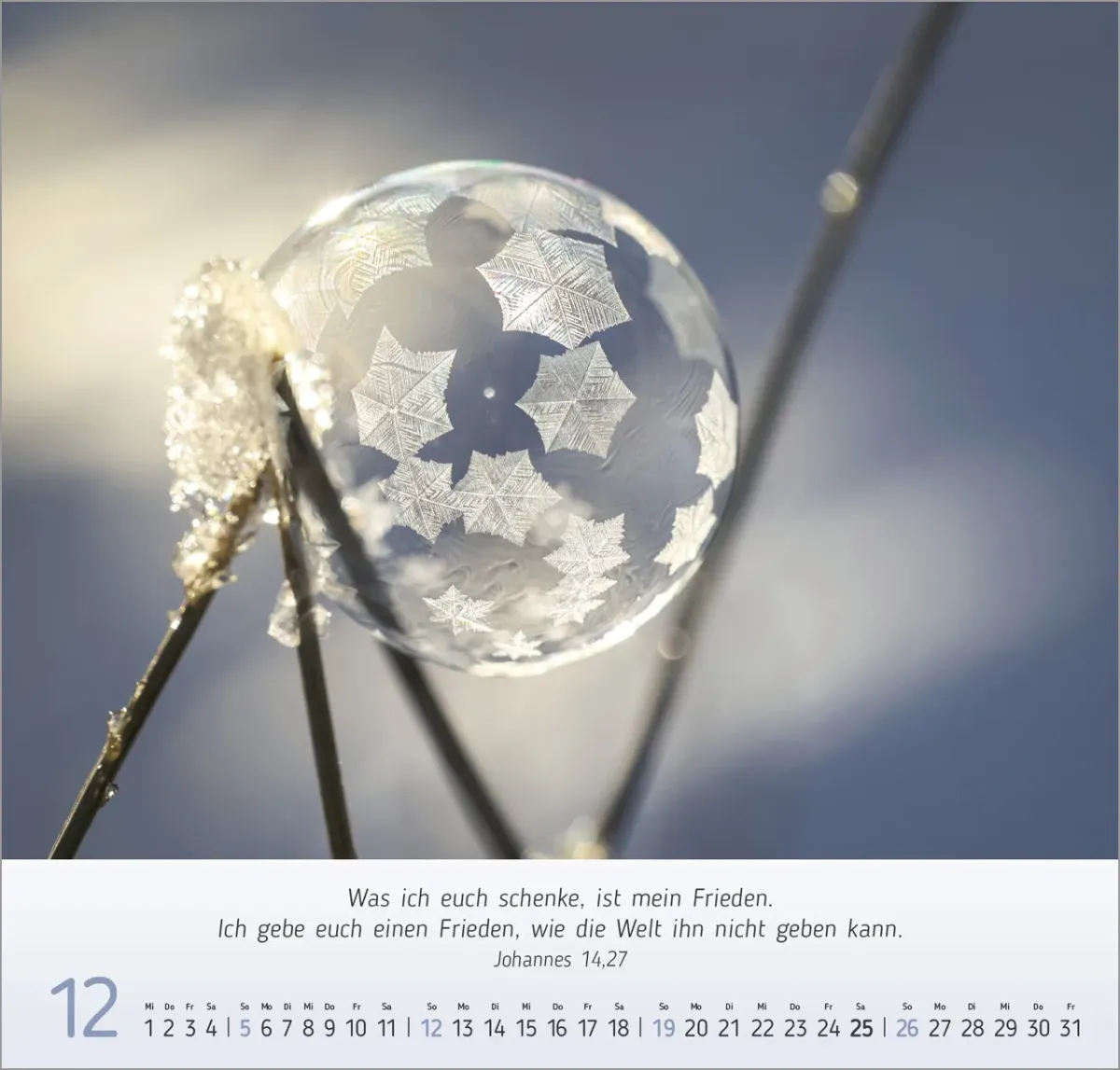 Gesichter der Natur - Wandkalender