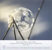 Gesichter der Natur - Wandkalender