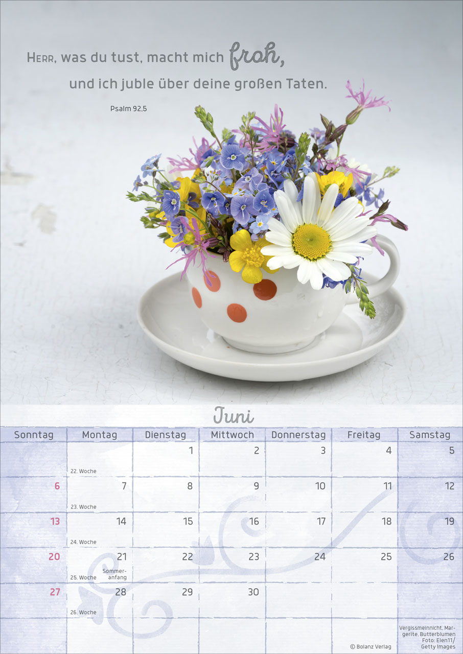 Momente der Freude - Posterkalender