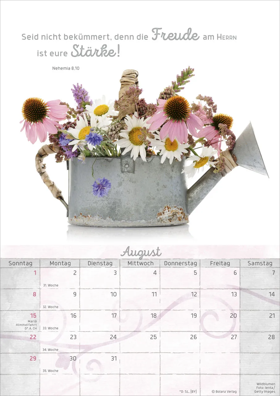 Momente der Freude - Posterkalender