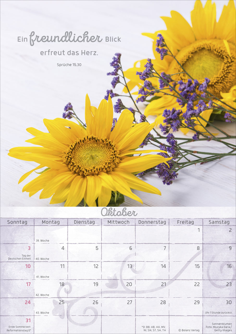 Momente der Freude - Posterkalender