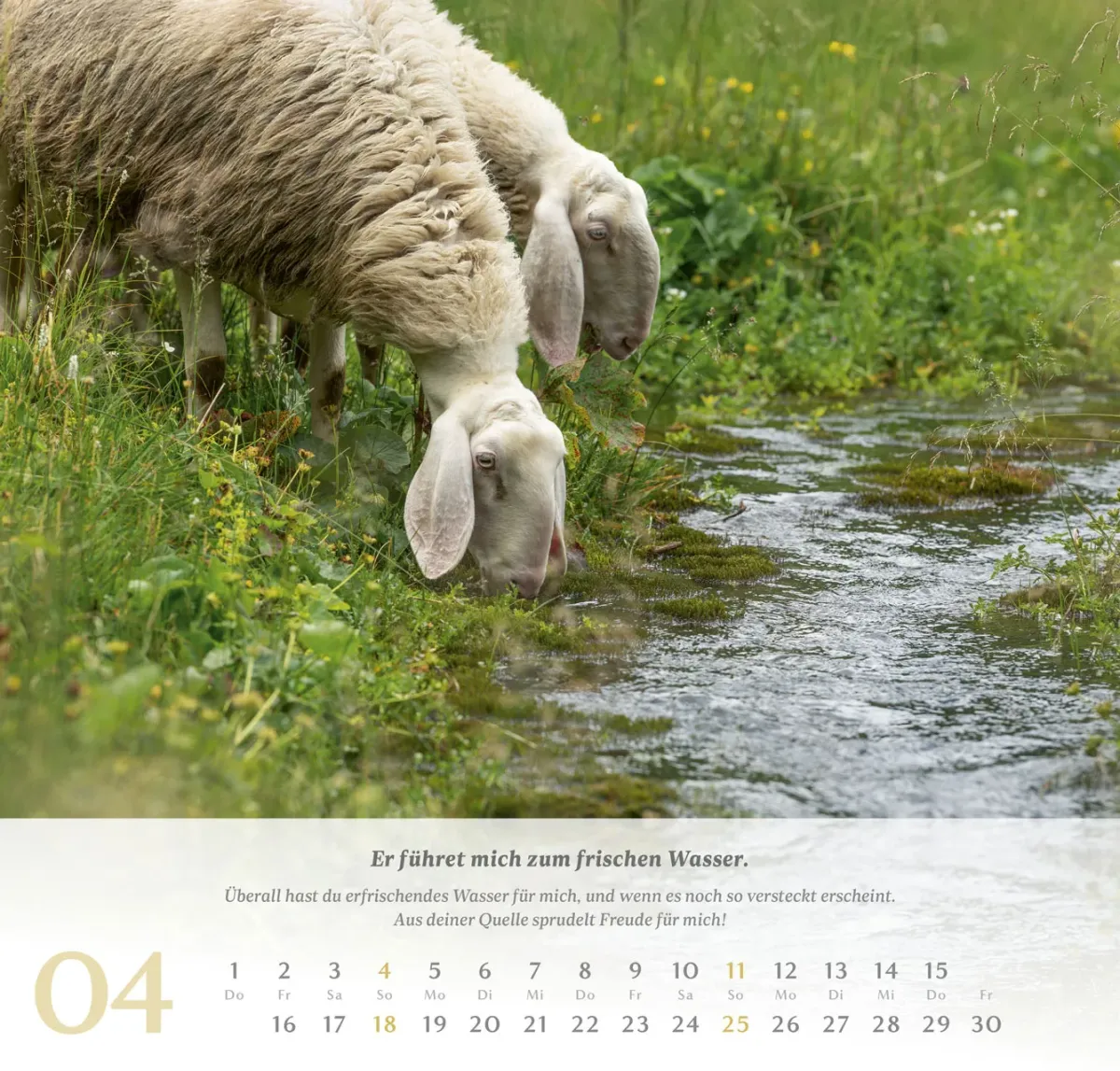 Psalm 23 - Der Herr ist mein Hirte - Wandkalender