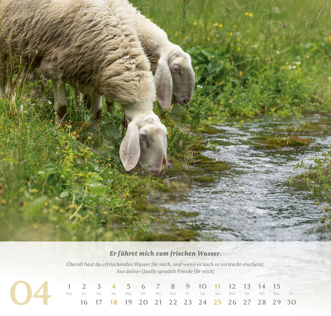 Psalm 23 - Der Herr ist mein Hirte - Wandkalender