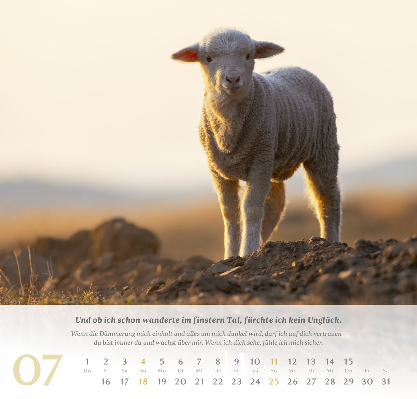 Psalm 23 - Der Herr ist mein Hirte - Wandkalender