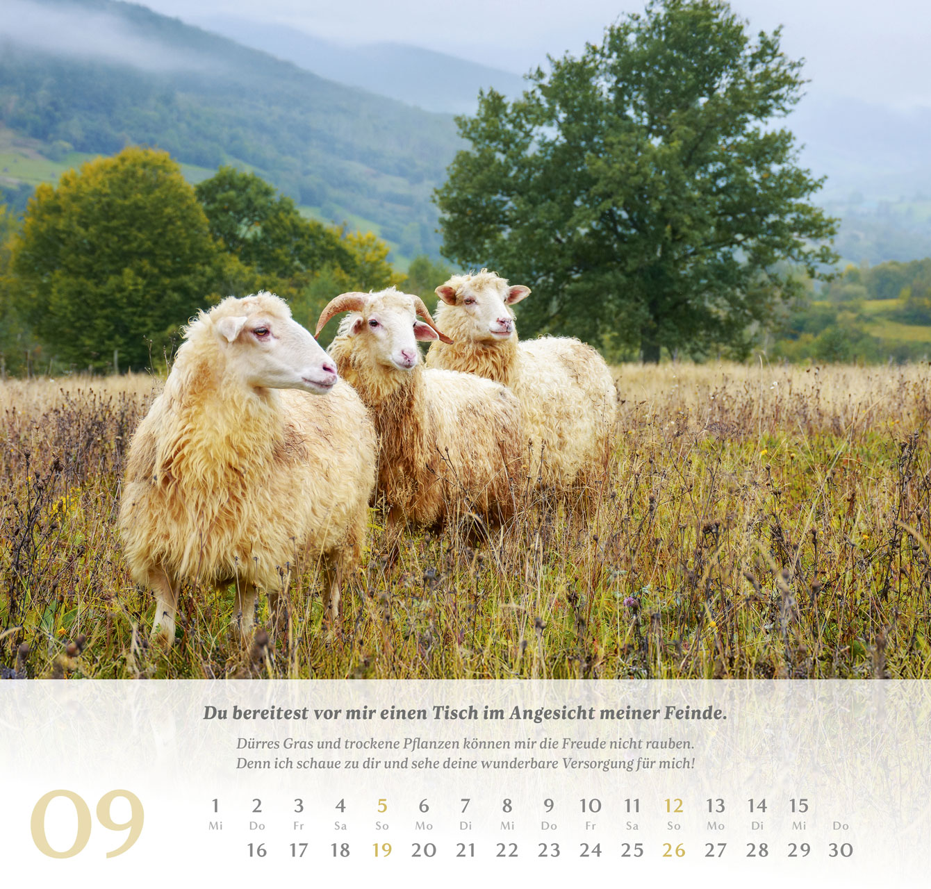 Psalm 23 - Der Herr ist mein Hirte - Wandkalender