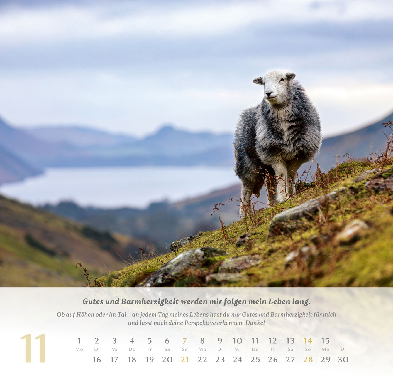 Psalm 23 - Der Herr ist mein Hirte - Wandkalender