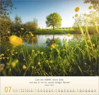Licht Impressionen - Wandkalender