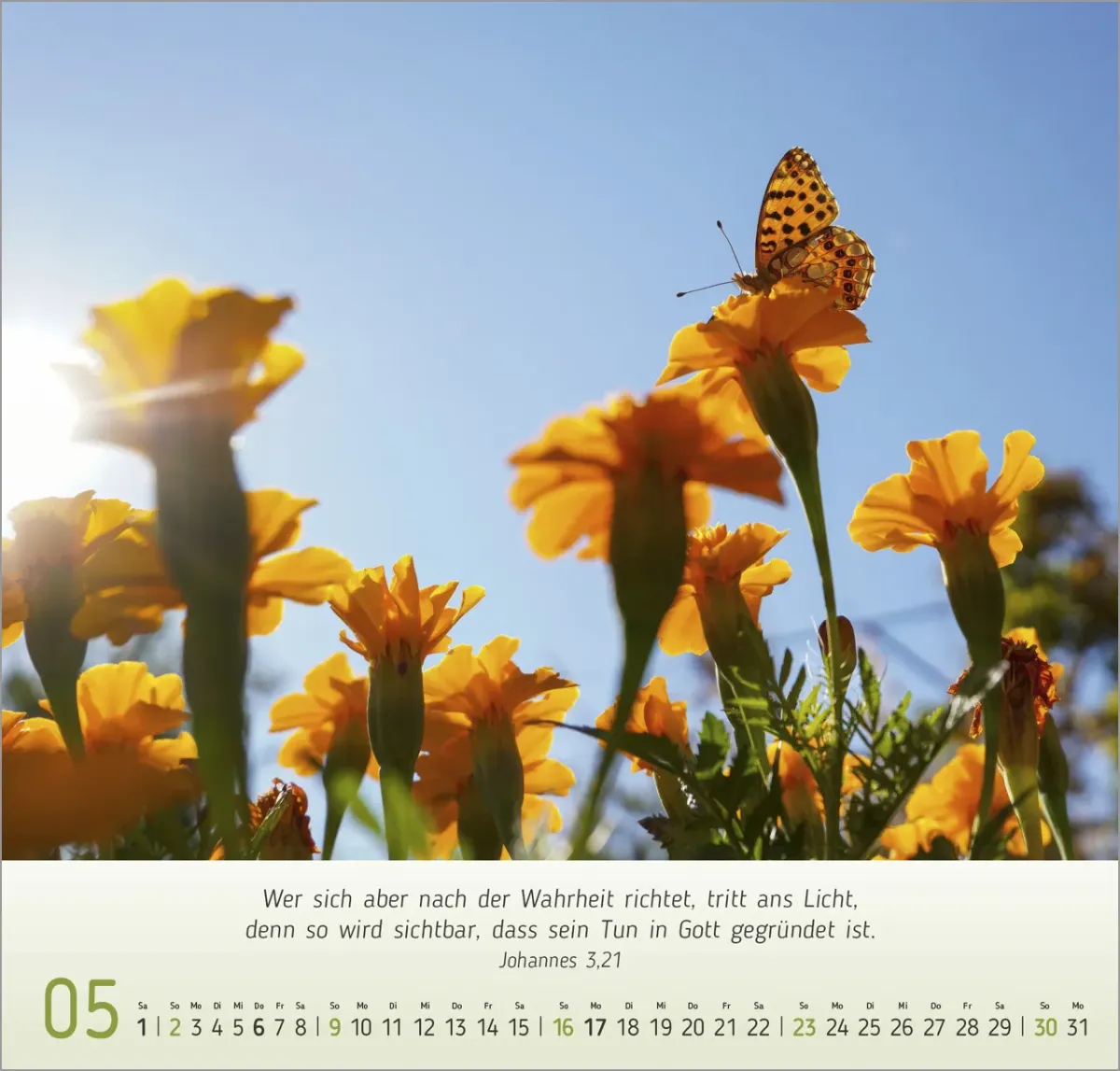 Licht Impressionen - Wandkalender