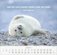 Ich hab dich gern - Wandkalender