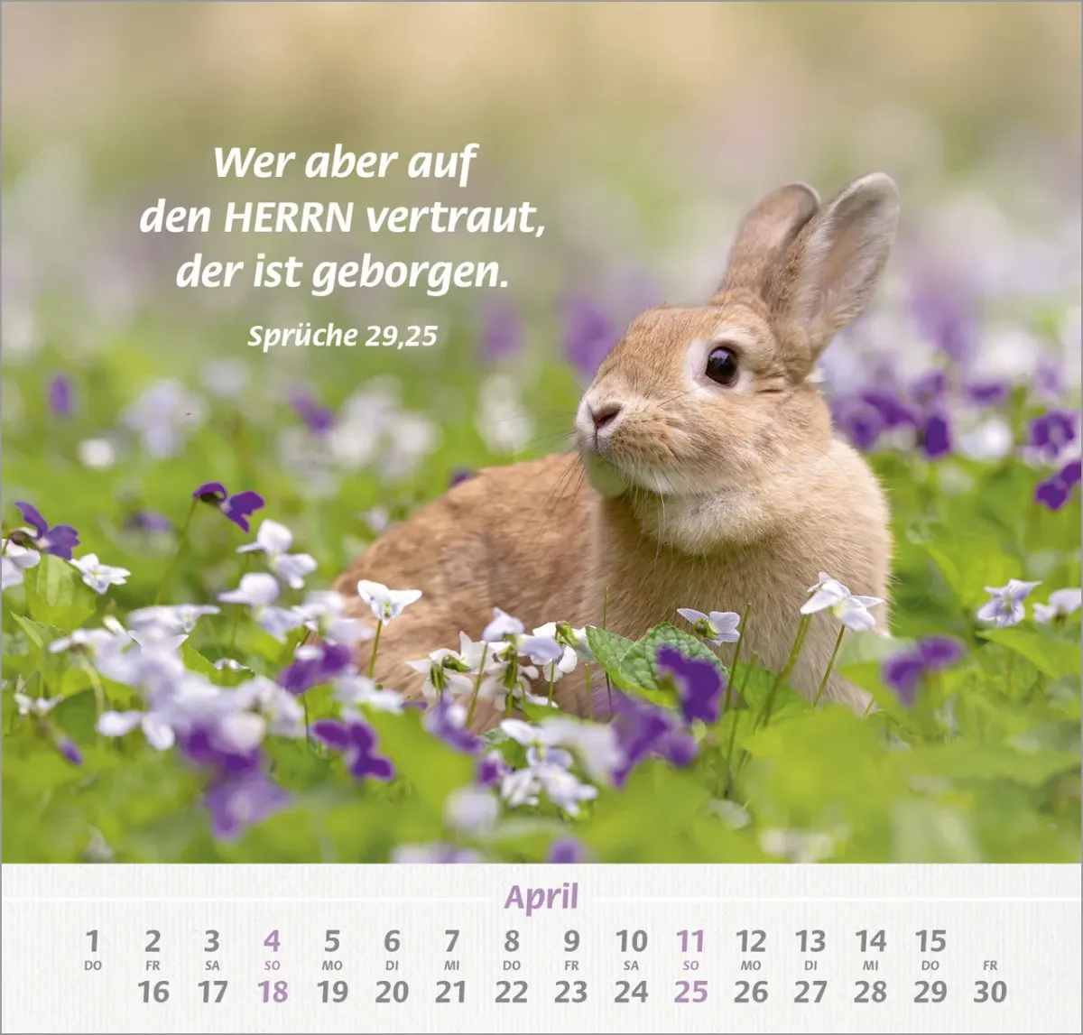 Ich hab dich gern - Wandkalender