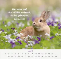 Ich hab dich gern - Wandkalender