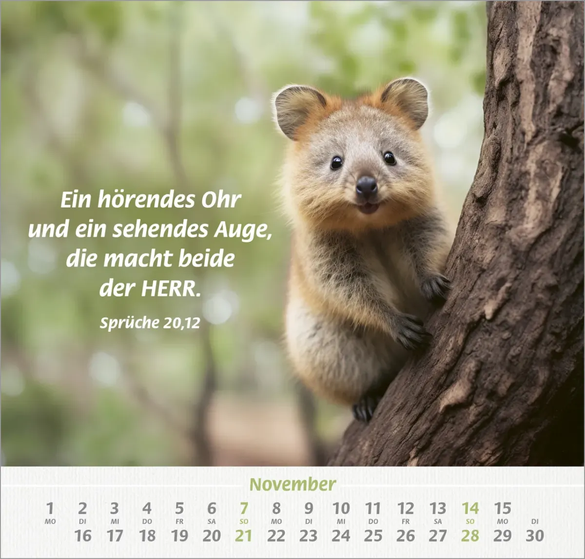 Ich hab dich gern - Wandkalender