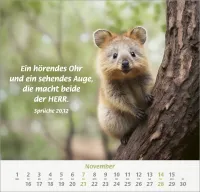 Ich hab dich gern - Wandkalender