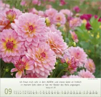 Blumen Impressionen - Wandkalender