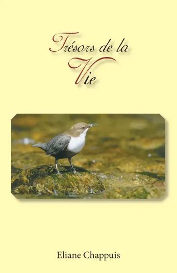 Trésors de la vie - ePub
