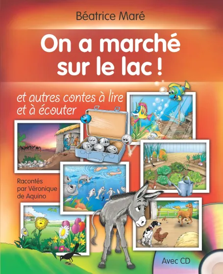 On a marché sur le lac - ePub
