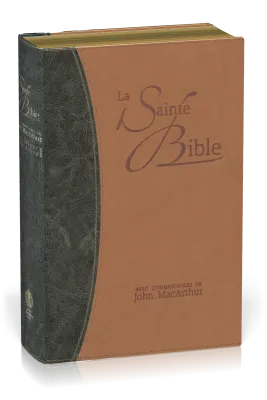 Bible d'étude Segond NEG MacArthur, duo bleu et marron - couverture souple, vivella, tranche or 