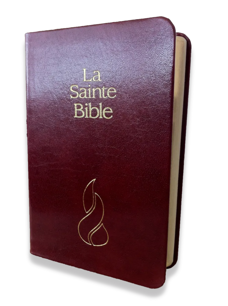 Bible Segond NEG, de poche, grenat - couverture souple, fibrocuir, tranche or