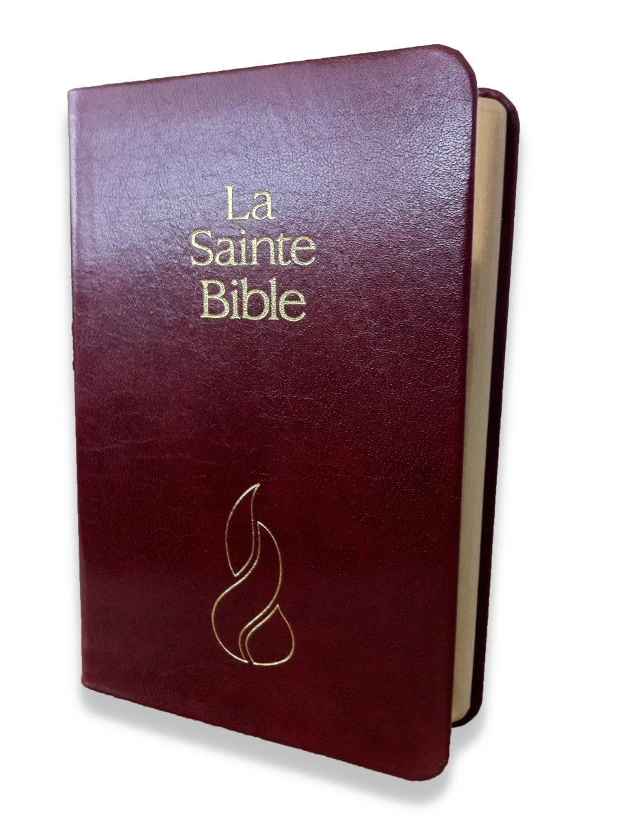 Bible Segond NEG, de poche, grenat - couverture souple, fibrocuir, tranche or