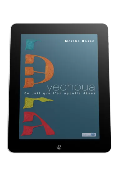 Yechoua - Ce juif que l'on appelle Jésus - ePub