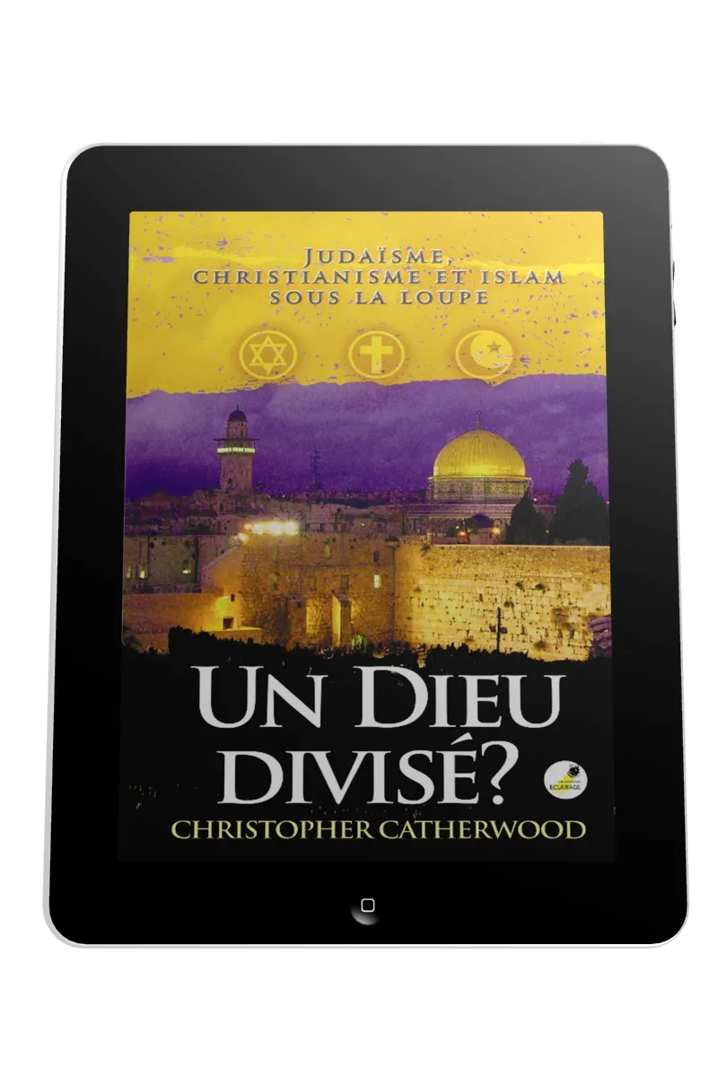 Un Dieu divisé? - Judaïsme, christianisme et islam sous la loupe - ePub