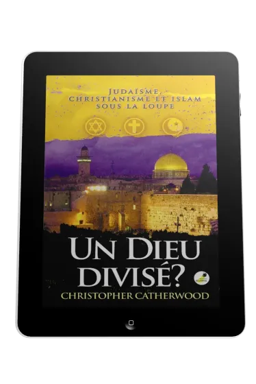 Un Dieu divisé? - Judaïsme, christianisme et islam sous la loupe - ePub