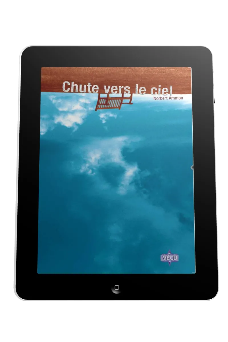 Chute vers le ciel - Ebook