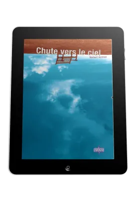 Chute vers le ciel - Ebook