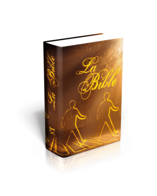 Bible Segond 21 De Poche - Couverture Rigide Illustrée - Segond 21 ...