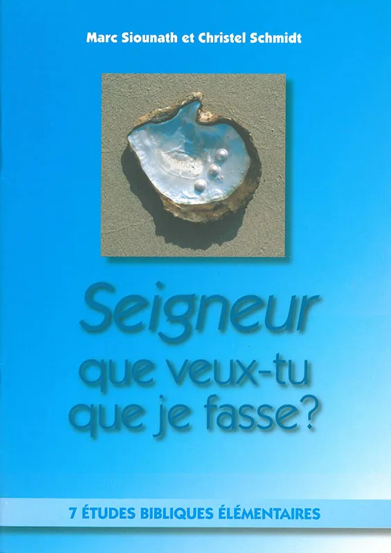 Seigneur que veux-tu que je fasse? - 7 études bibliques élémentaires - pdf