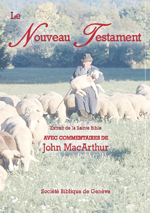 Bible d'étude Segond NEG MacArthur, le Nouveau Testament - Pdf