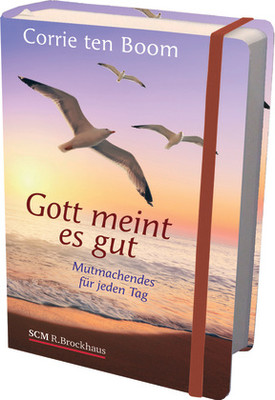 GOTT MEINT ES GUT - MUTMACHENDES FÜR JEDEN TAG