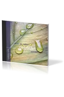 DENN SIE SOLLEN GETRÖSTET WERDEN - GEISTLICHE LIEDER - AUDIO CD