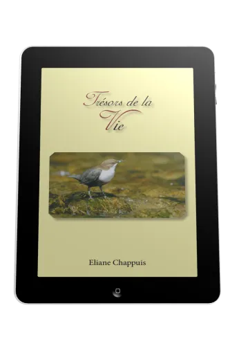 Trésors de la vie - Ebook