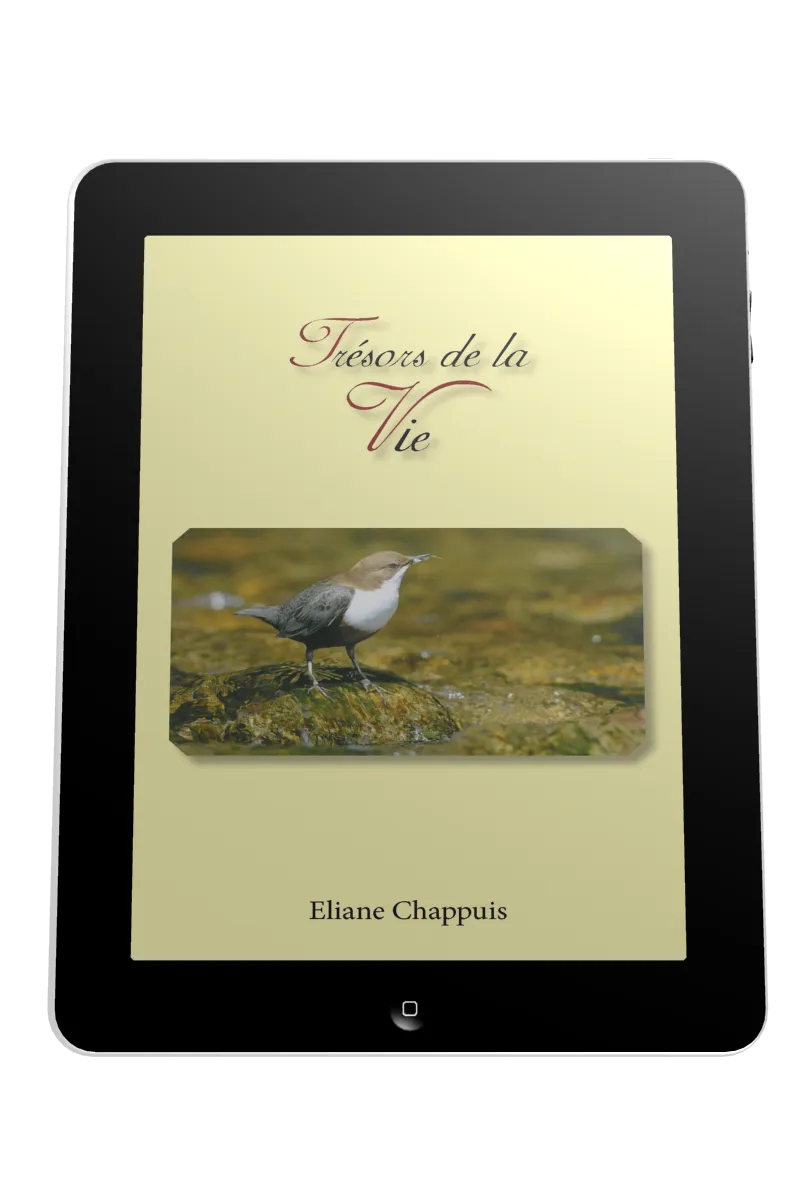 Trésors de la vie - ePub