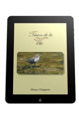 Trésors de la vie - ePub