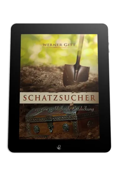 SCHATZSUCHER - ... EINE VERBLÜFFENDE ENTDECKUNG - EBOOK