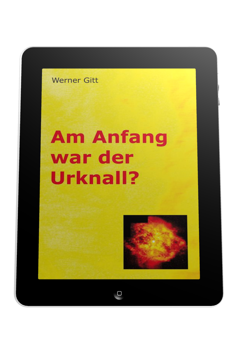 AM ANFANG WAR DER URKNALL? - EBOOK