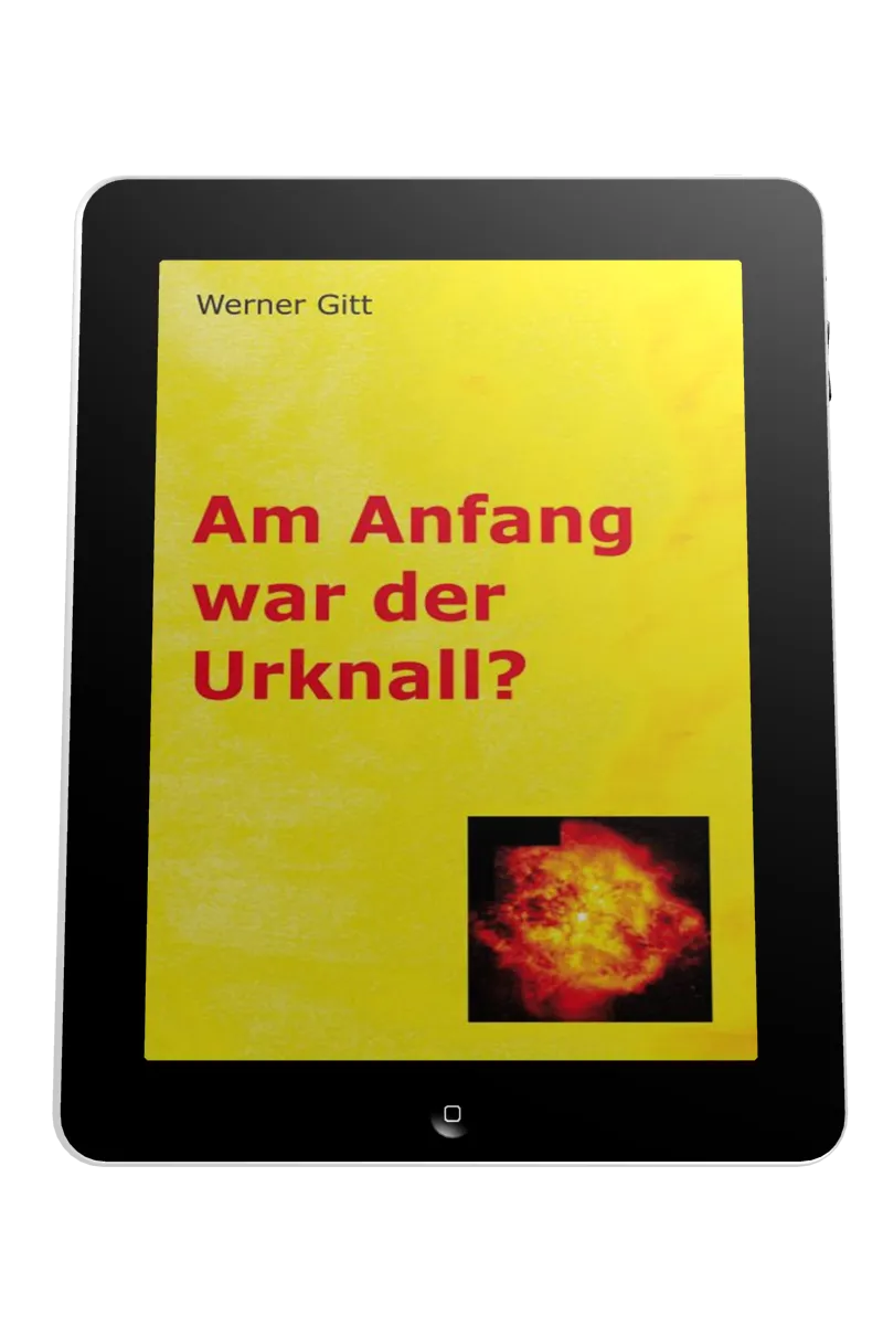 AM ANFANG WAR DER URKNALL? - ePub