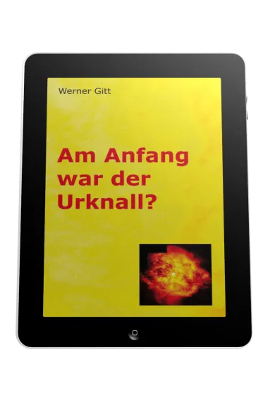 AM ANFANG WAR DER URKNALL? - ePub