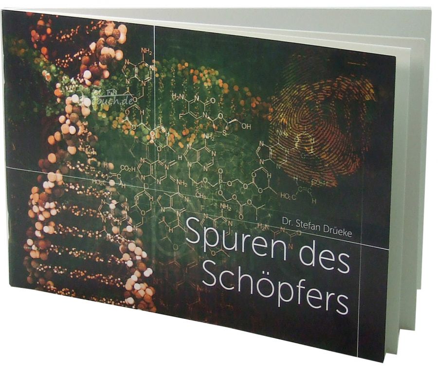 SPUREN DES SCHÖPFERS