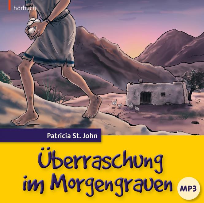 Überraschung im Morgengrauen - Hörbuch MP3-CD