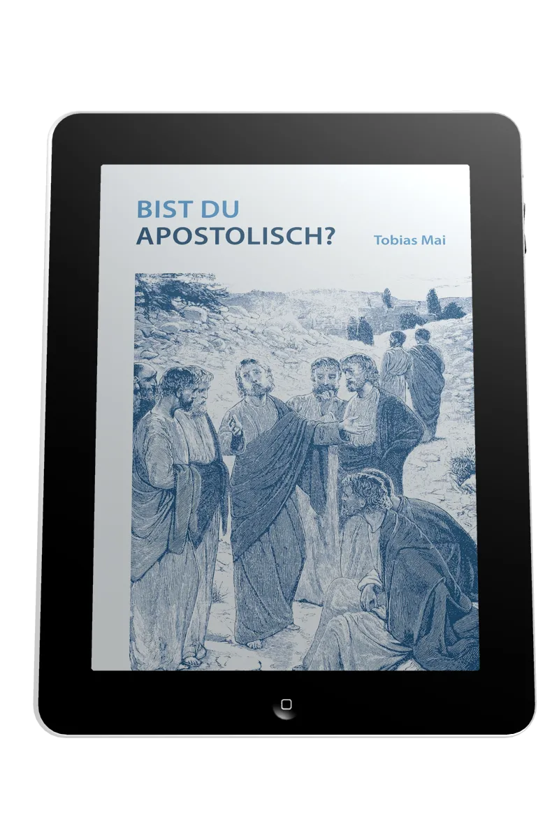 BIST DU APOSTOLISCH? - EBOOK