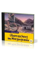 Überraschung im Morgengrauen - Hörbuch MP3-CD