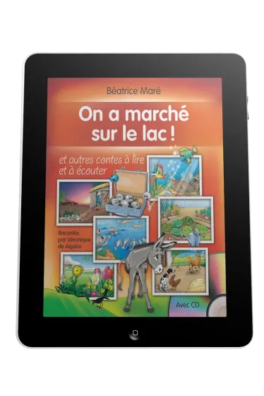 On a marché sur le lac - Ebook