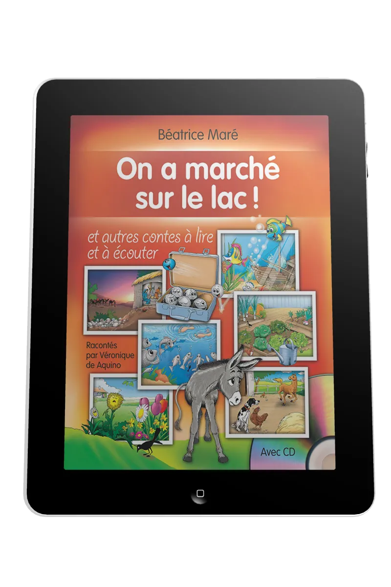 On a marché sur le lac - ePub