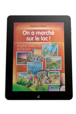On a marché sur le lac - ePub